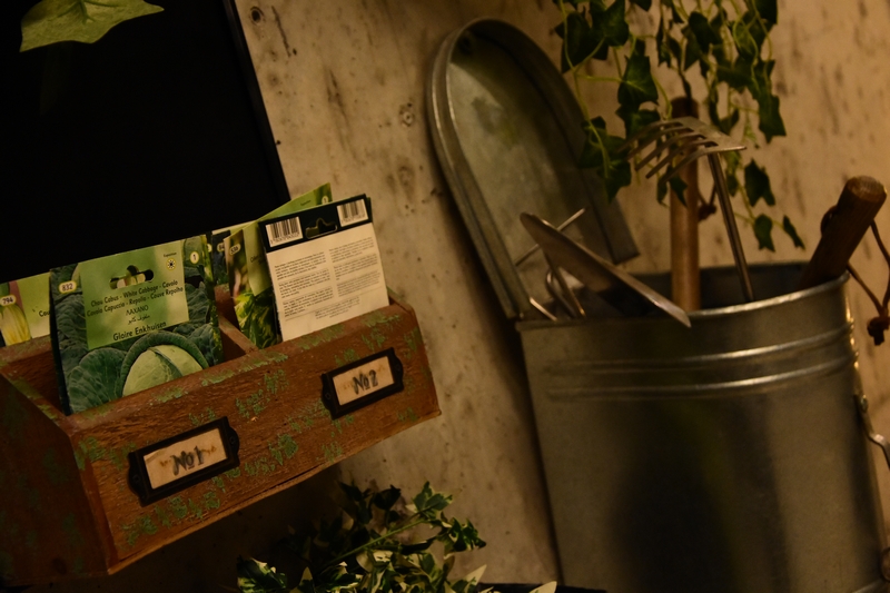 Kitchen Yard on Saturday Night